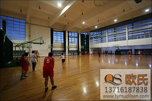 室內(nèi)運(yùn)動地板 室內(nèi)運(yùn)動地板