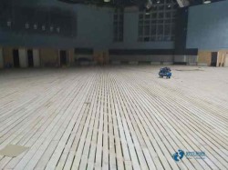 專業體育場地板施工隊