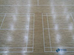 供應(yīng)運(yùn)動(dòng)木地板怎么保養(yǎng)