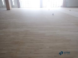 室內運動型地板施工團隊