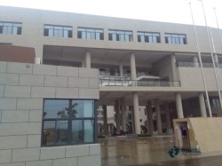 實(shí)木籃球體育木地板環(huán)保