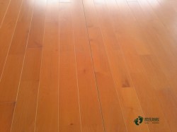 較好的運(yùn)動(dòng)木地板清潔養(yǎng)護(hù)